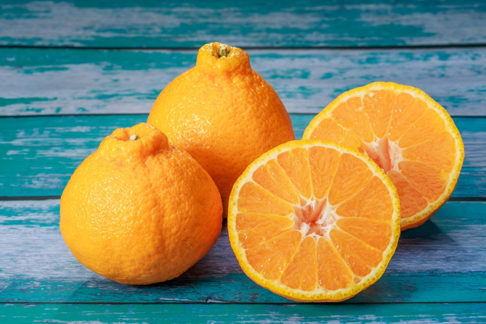 点击大图看下一张：一组甜甜的四川丑橘图片欣赏