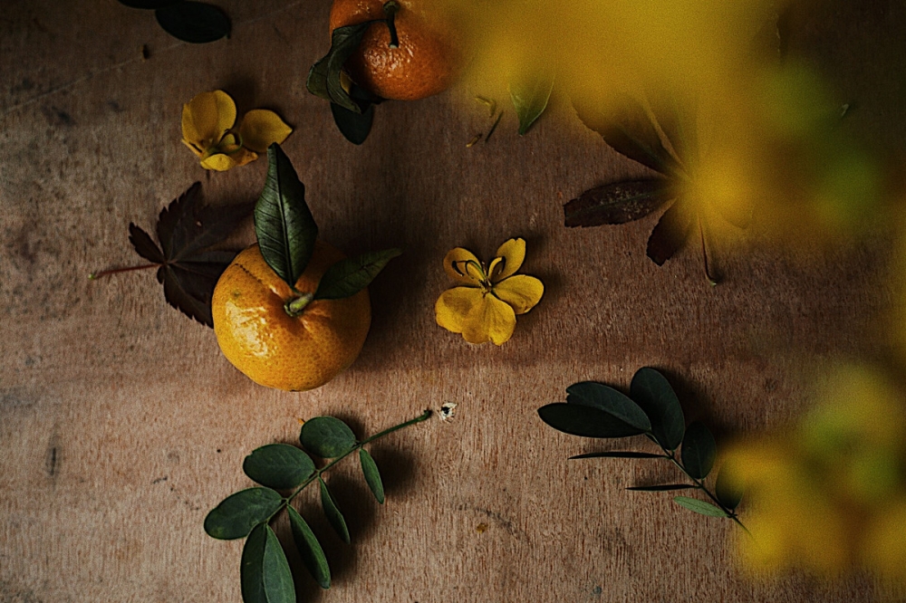 点击大图看下一张：黄色橘子做艺术品的摄影图片
