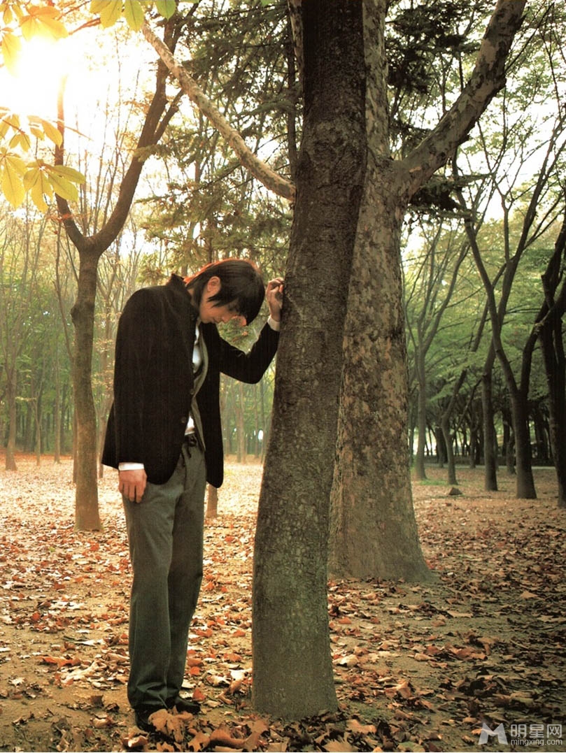 点击大图看下一张：忧郁王子李栋旭森林里的写真集