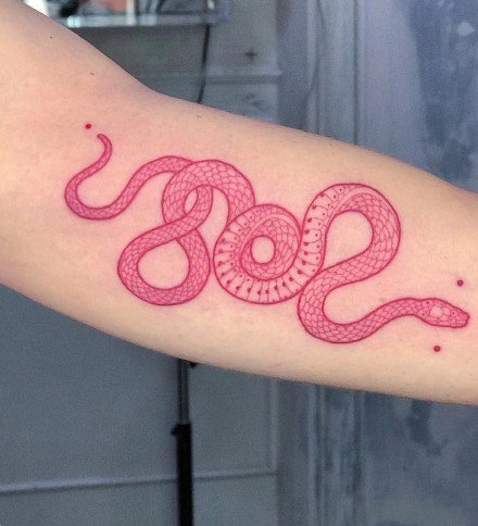 点击大图看下一张：小蛇纹身 国外大师的9款经典蛇纹身图片