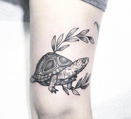 点击大图看下一张：一波小海龟主题的乌龟纹身图片