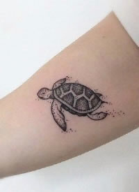 一波小海龟主题的乌龟纹身图片