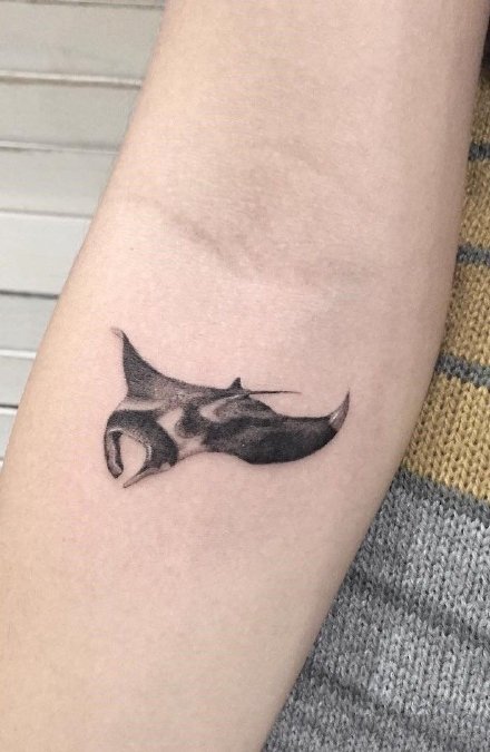 点击大图看下一张：蝠鲼纹身 9款大海里的魔鬼鱼蝠鲼纹身图片