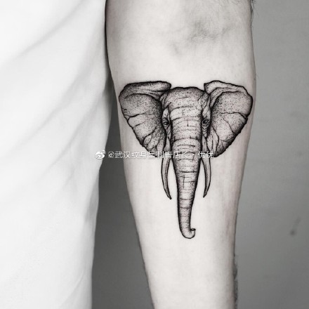 点击大图看下一张：象纹身 19款大象主题的纹身图片作品