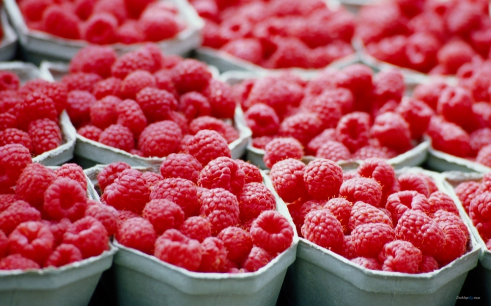 点击大图看下一张：果肉丰满的红树莓小清新图片