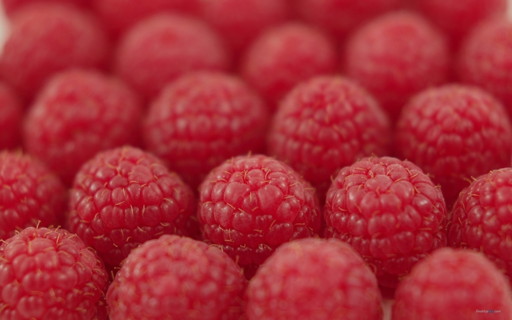 点击大图看下一张：果肉丰满的红树莓小清新图片