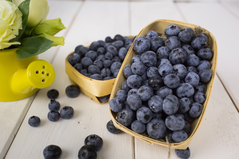 点击大图看下一张：一组新鲜美味的蓝莓图片欣赏