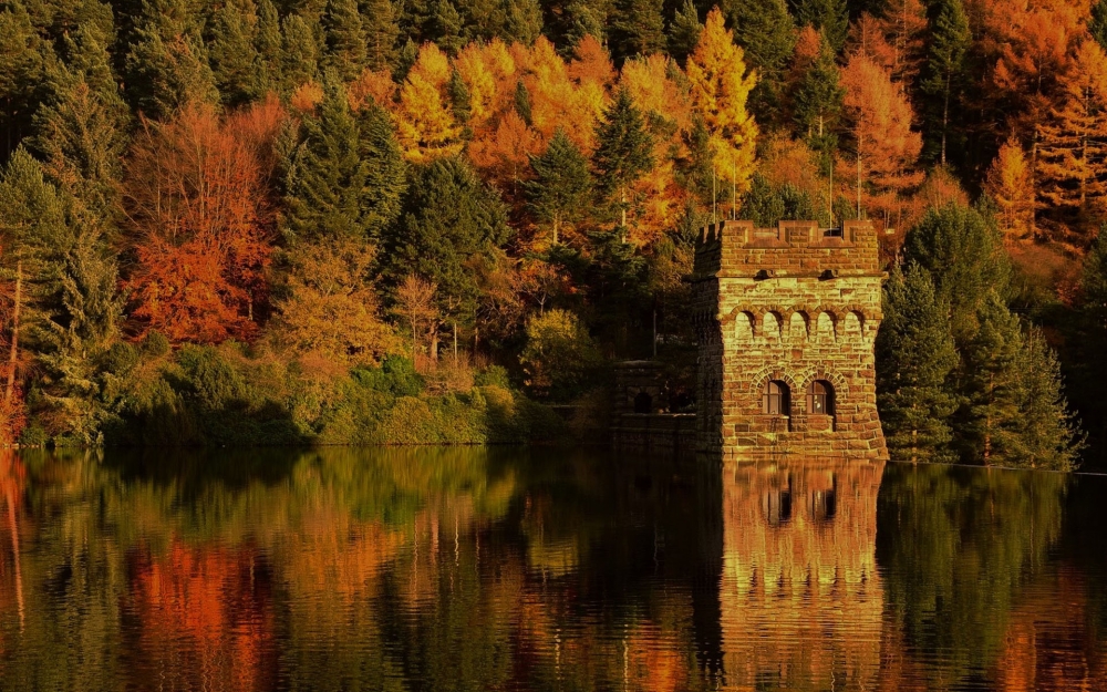 点击大图看下一张：静谧森林秋天唯美风景图片桌面壁纸