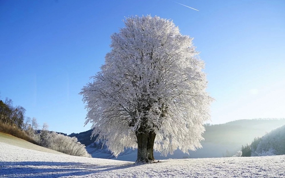 点击大图看下一张：冬日唯美雪景图片电脑壁纸