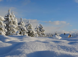 冬日唯美雪景图片电脑壁纸