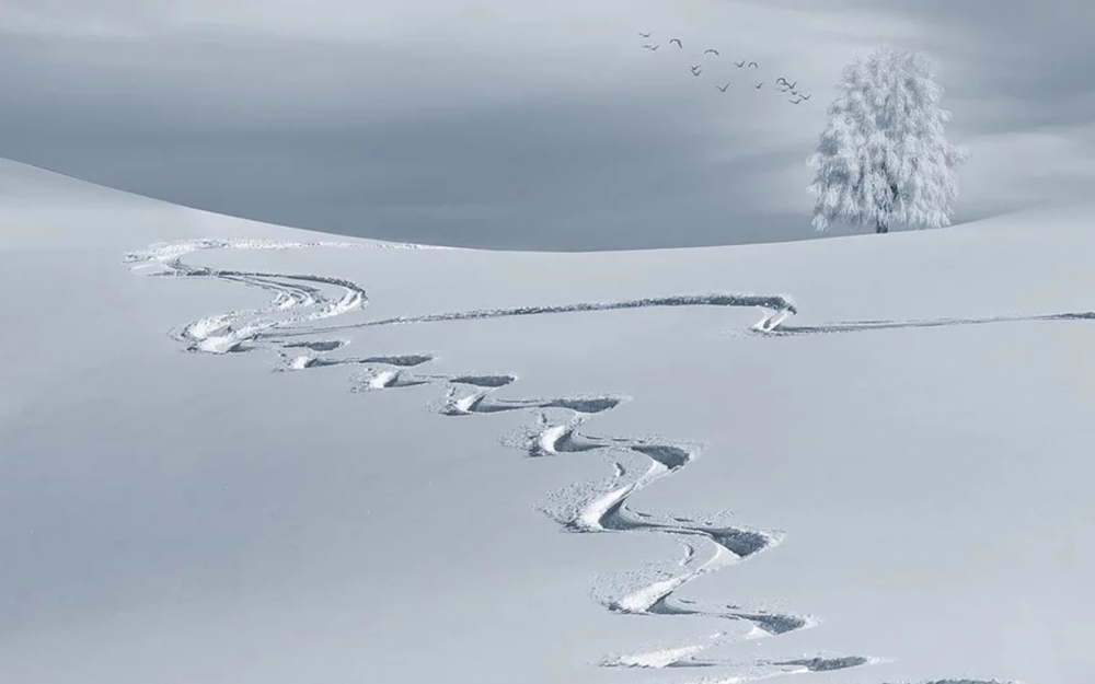 点击大图看下一张：冬日唯美雪景图片电脑壁纸