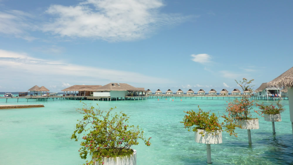 点击大图看下一张：马尔代夫海边风景图片