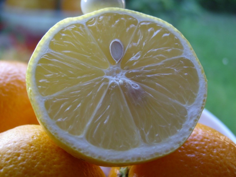 点击大图看下一张：一组清新可口的柠檬图片欣赏