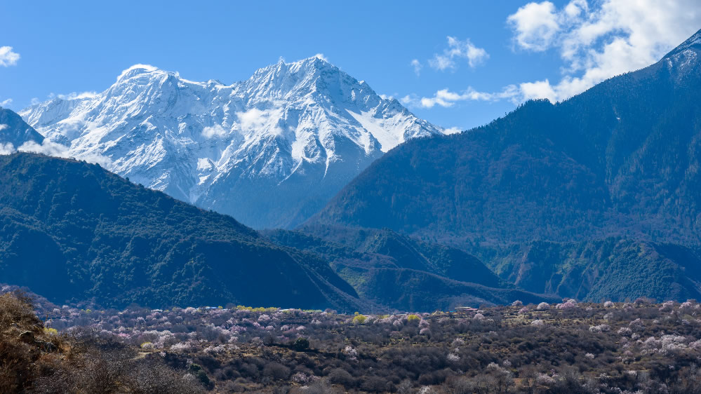 点击大图看下一张：西藏林芝雪山图片