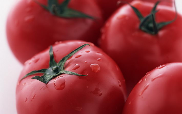 点击大图看下一张：一组诱人西红柿图片欣赏