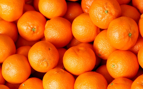 点击大图看下一张：树上诱人的橙子高清图片