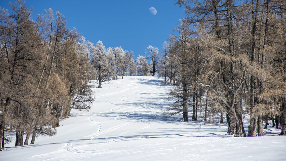 点击大图看下一张：新疆禾木冬季雪景图片