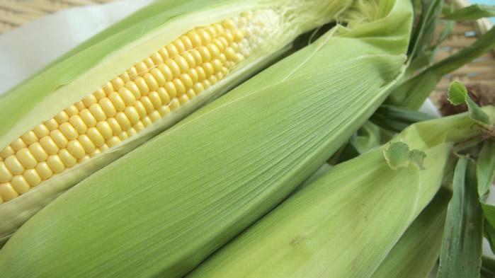 点击大图看下一张：一组新鲜的玉米的图片欣赏