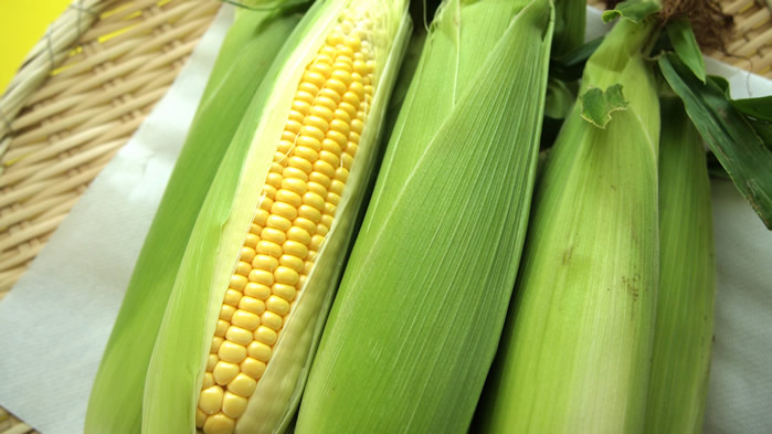 点击大图看下一张：一组新鲜的玉米的图片欣赏