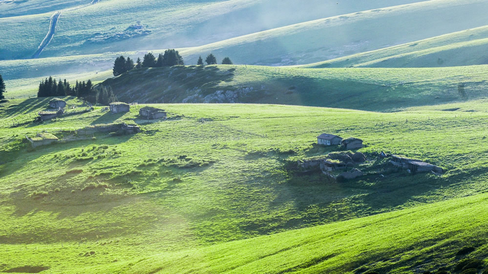 点击大图看下一张：绿色天山牧场草原图片