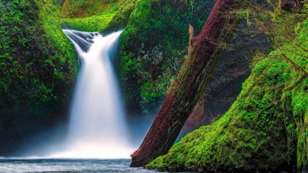 点击大图看下一张：美国哥伦比亚峡谷瀑布图片