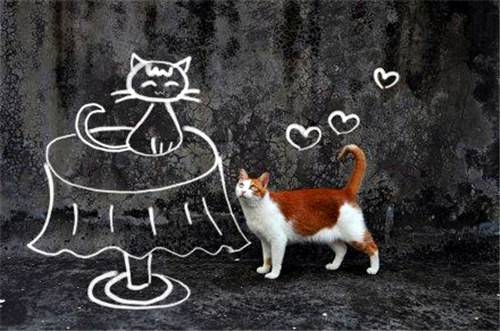 点击大图看下一张：萌猫咪趣味插画图片