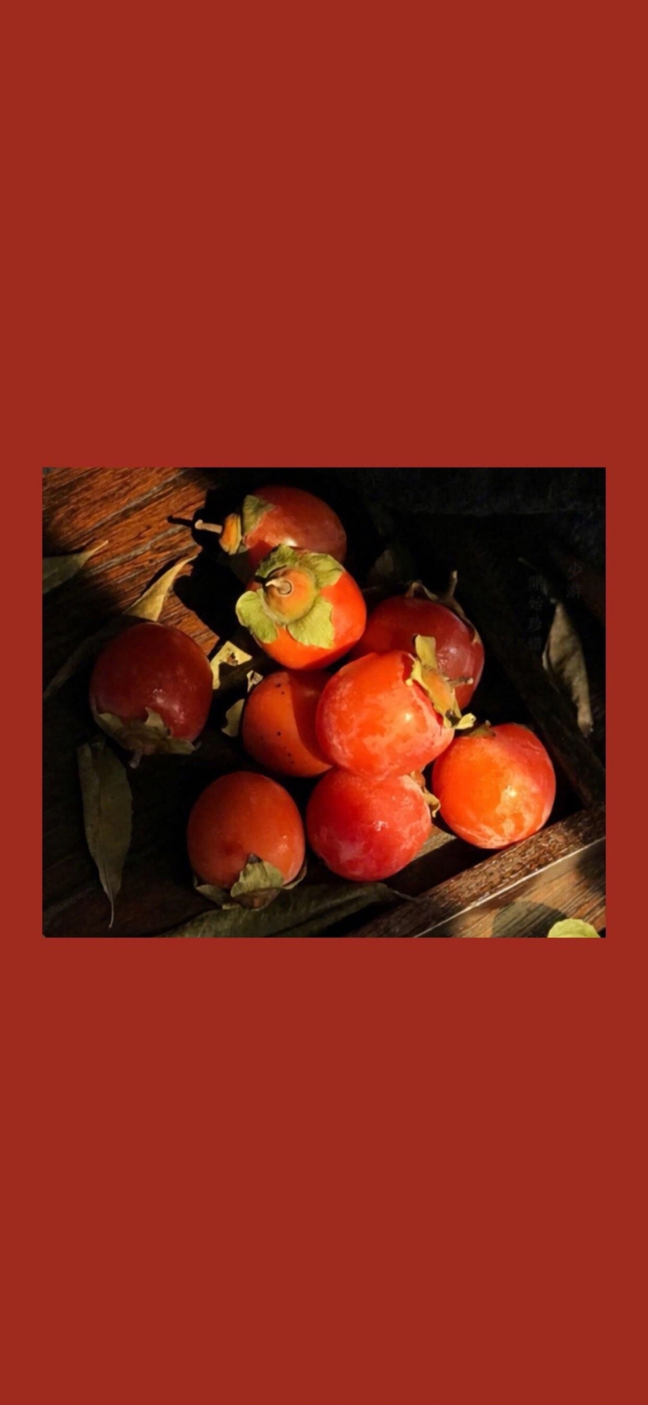 点击大图看下一张：水果柿子摄影高清手机壁纸
