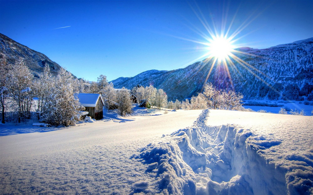 点击大图看下一张：冬季漫天飞雪雪景图片