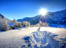 冬季漫天飞雪雪景图片
