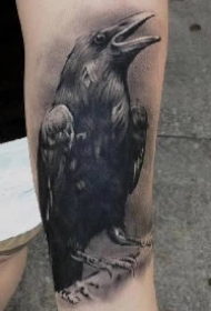 黑色乌鸦纹身 深黑色的9款乌鸦纹身图片和手稿