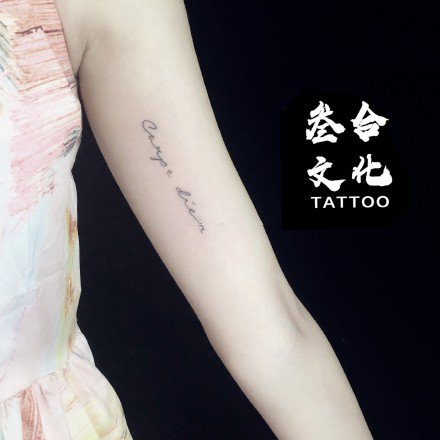 点击大图看下一张：云南省怒江傈僳族自治州叁合刺青的几款纹身作品