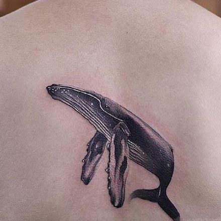 点击大图看下一张：好看的一组小清新鲸鱼和海豚纹身图案