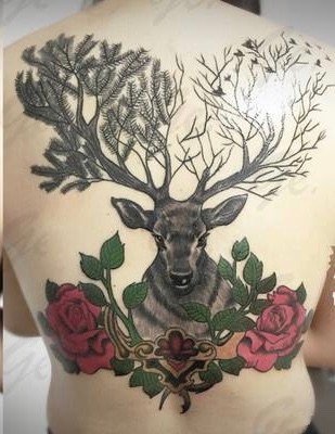 点击大图看下一张：女生后颈背部的小清新鹿头鹿角纹身图案