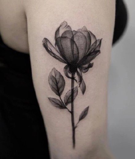 点击大图看下一张：黑灰色的一组好看花朵纹身图片作品