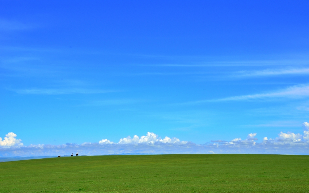 点击大图看下一张：呼仑贝尔大草原唯美风景桌面壁纸