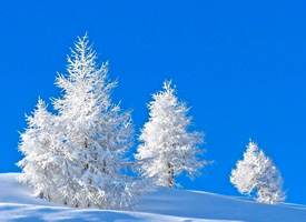 冬季唯美雪景高清桌面壁纸
