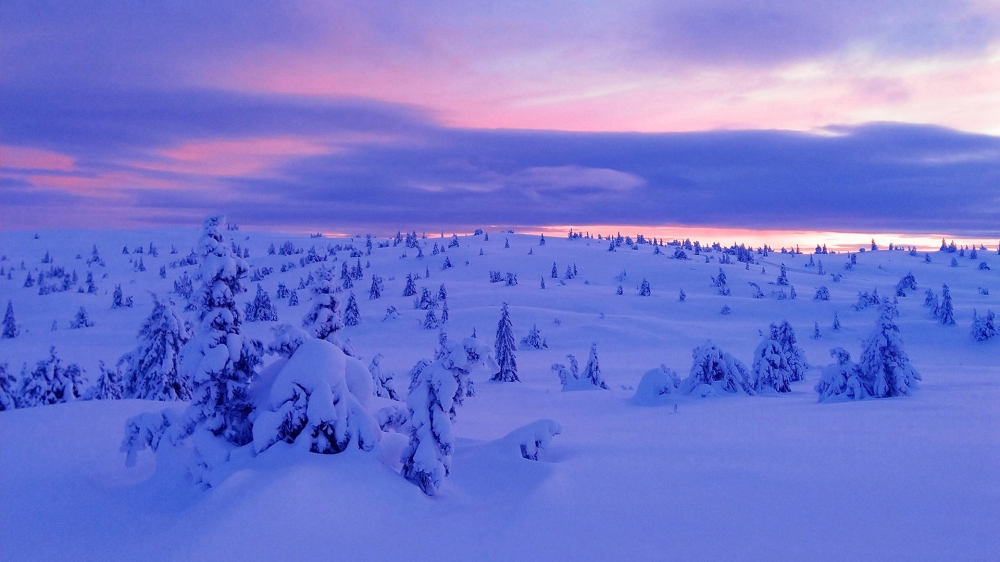 点击大图看下一张：冬季唯美雪景高清桌面壁纸