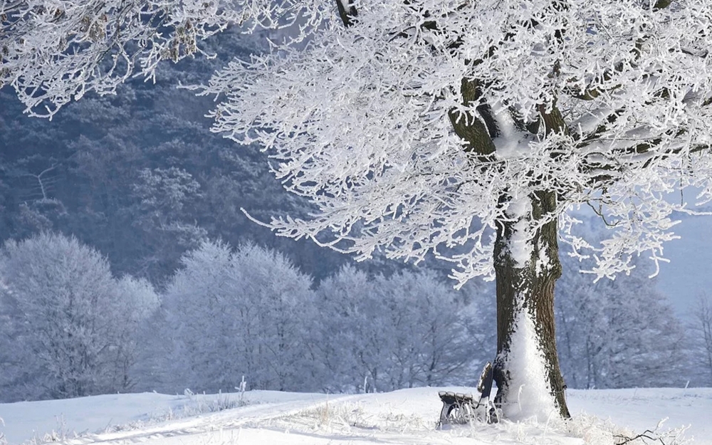 点击大图看下一张：精选超美雪景图片桌面壁纸