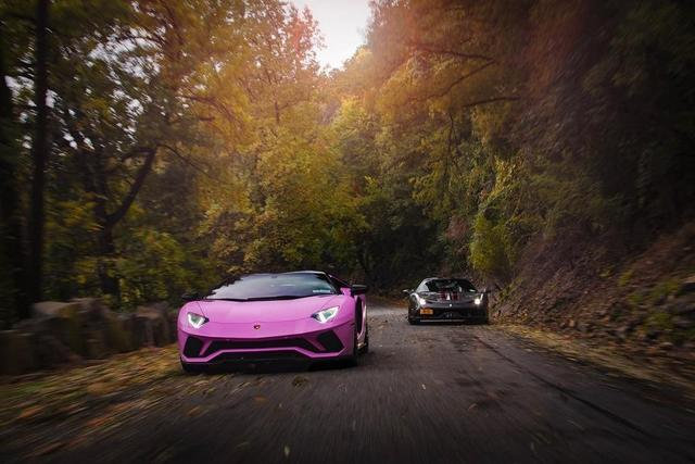 点击大图看下一张:少女心的粉色兰博基尼