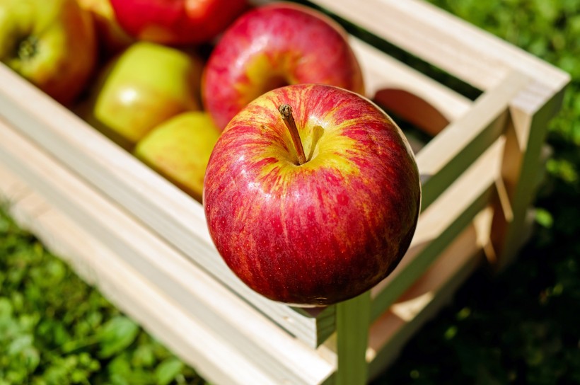 点击大图看下一张：脆口香甜红苹果图片欣赏