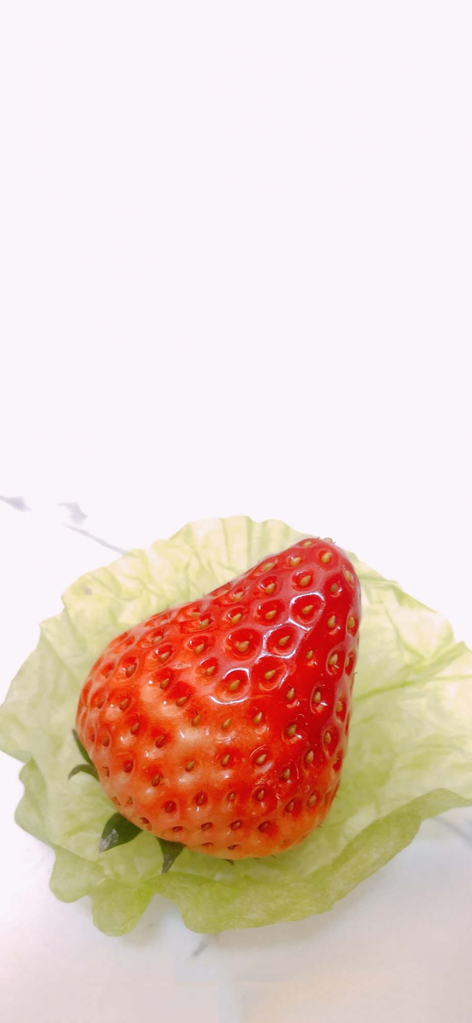 点击大图看下一张：美食诱惑草莓摄影高清手机壁纸