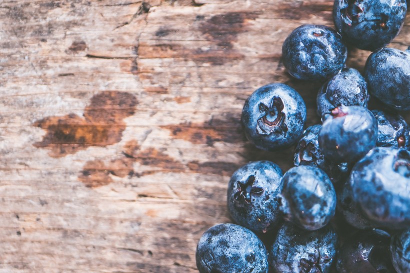 点击大图看下一张：一组小浆果蓝莓图片欣赏