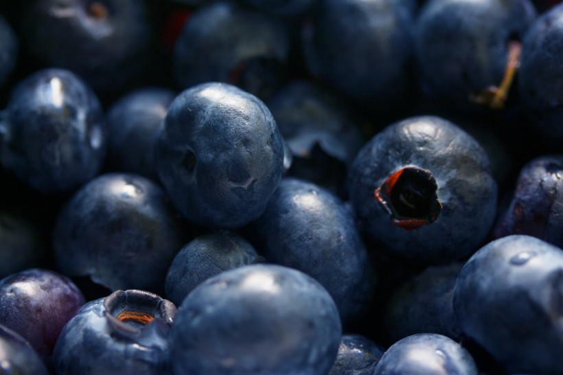 点击大图看下一张：一组小浆果蓝莓图片欣赏