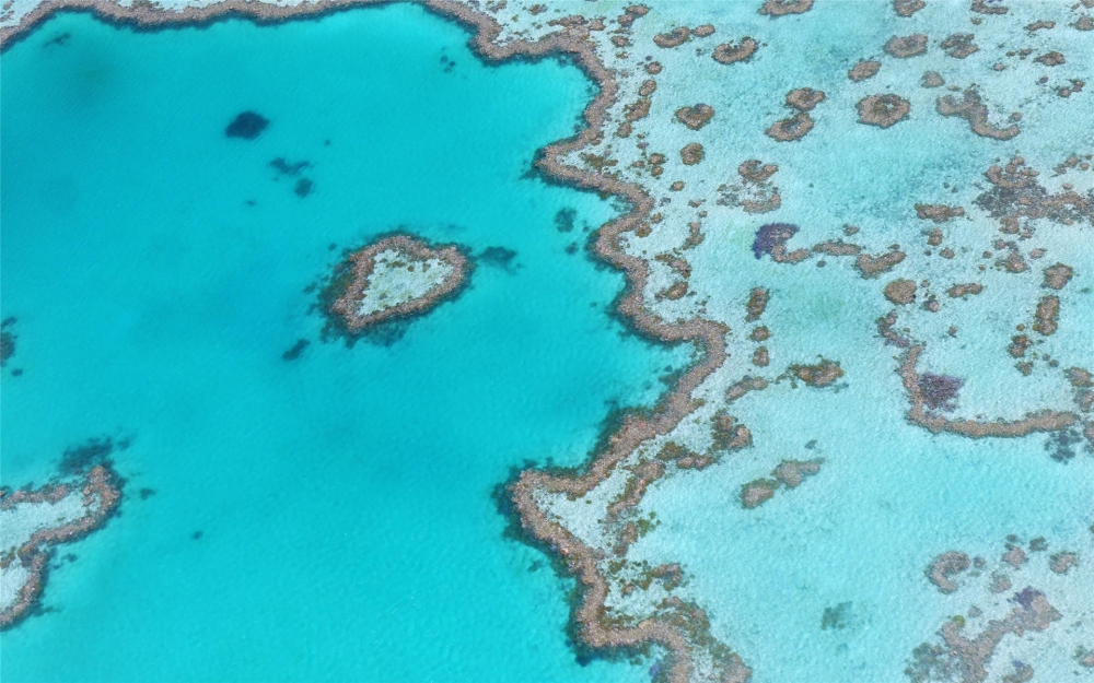 点击大图看下一张：澳大利亚大堡礁风景高清桌面壁纸