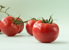 具有抗氧化作用的蔬菜番茄图片