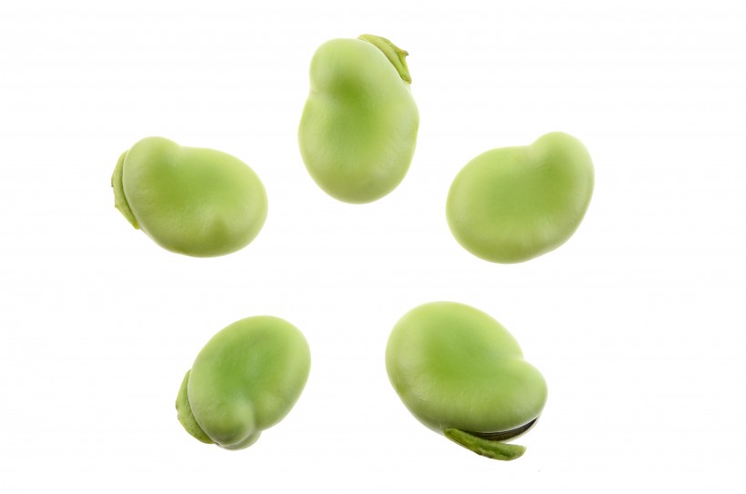 点击大图看下一张：营养价值丰富的绿色蚕豆图片