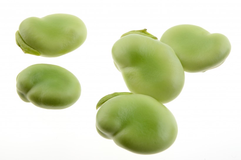 点击大图看下一张：营养价值丰富的绿色蚕豆图片