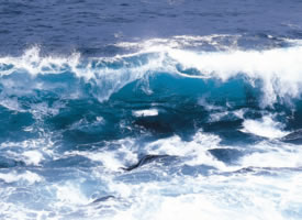 海洋巨浪浪花图片