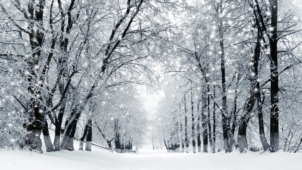 点击大图看下一张：冬季雪天道路风景壁纸图片