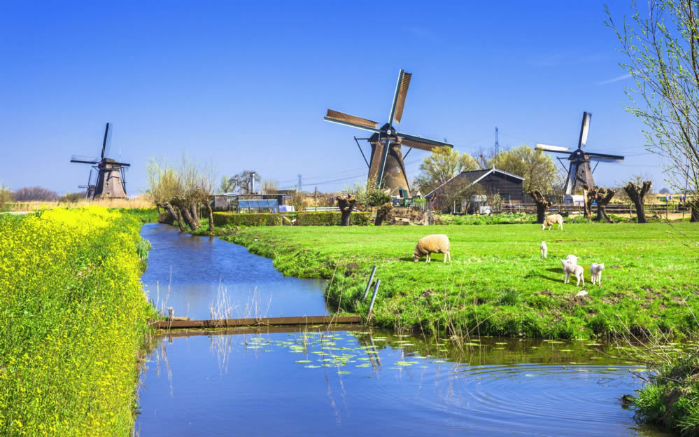 点击大图看下一张：荷兰风车风景壁纸图片